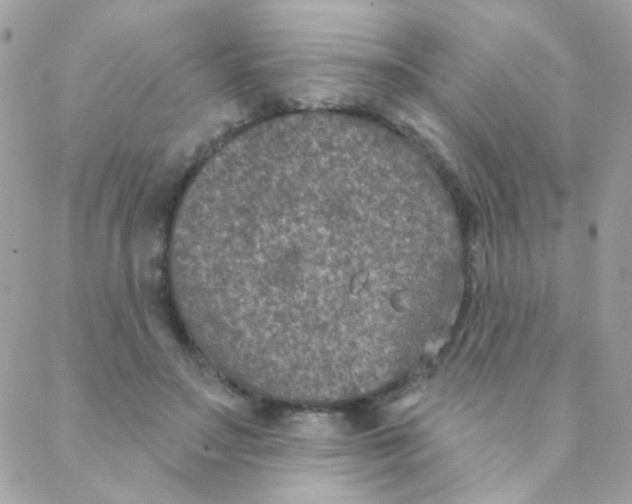 X0000088220499200706051326