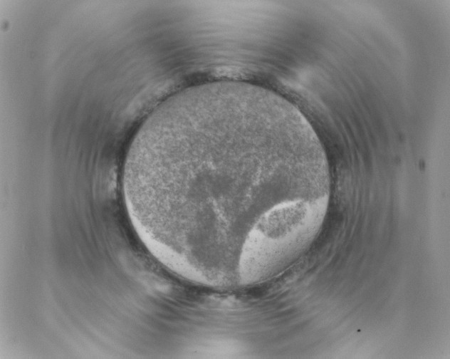 X0000088220502200706051326