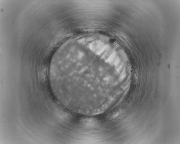 X0000088220503200706051326