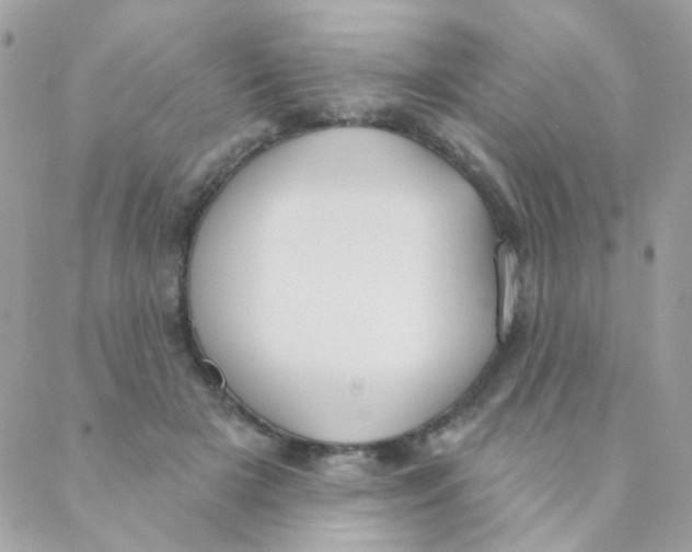 X0000088220505200706051326