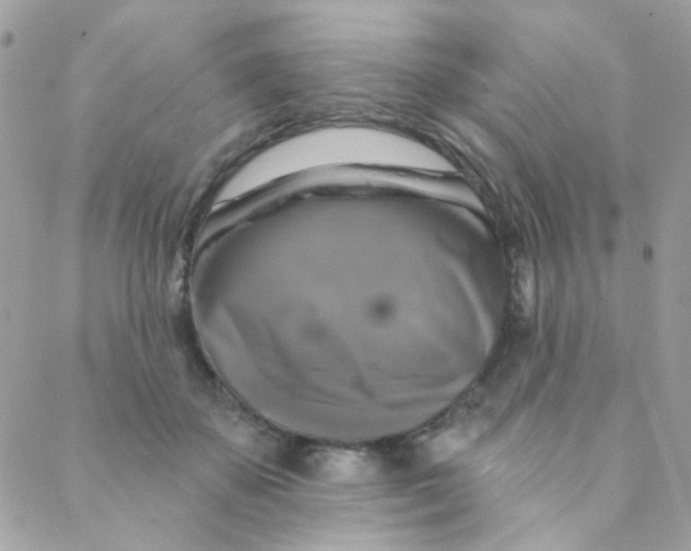 X0000088220507200706051326