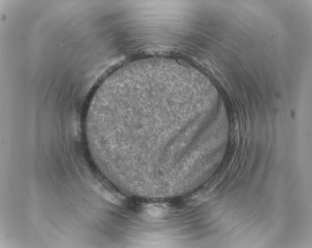 X0000088220508200706051326