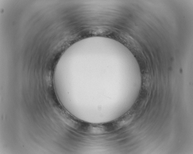 X0000088220510200706051326