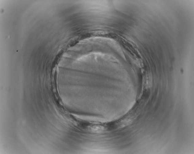 X0000088220512200706051326