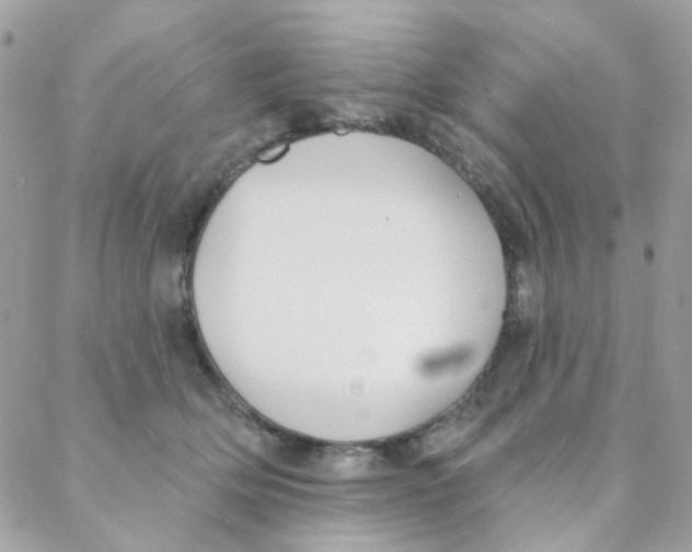 X0000088220514200706051326