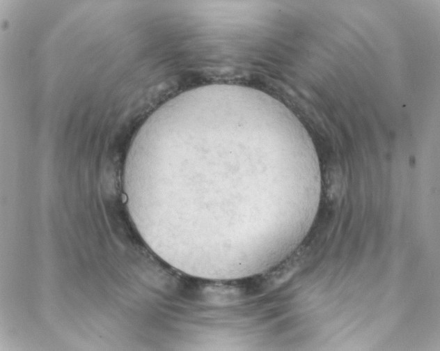 X0000088220515200706051326