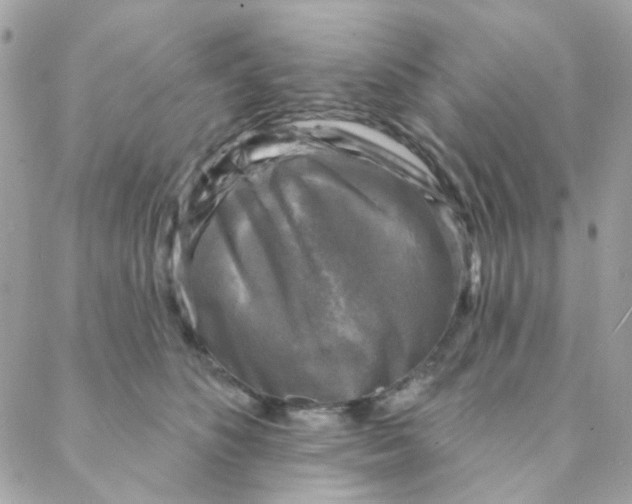 X0000088220516200706051326