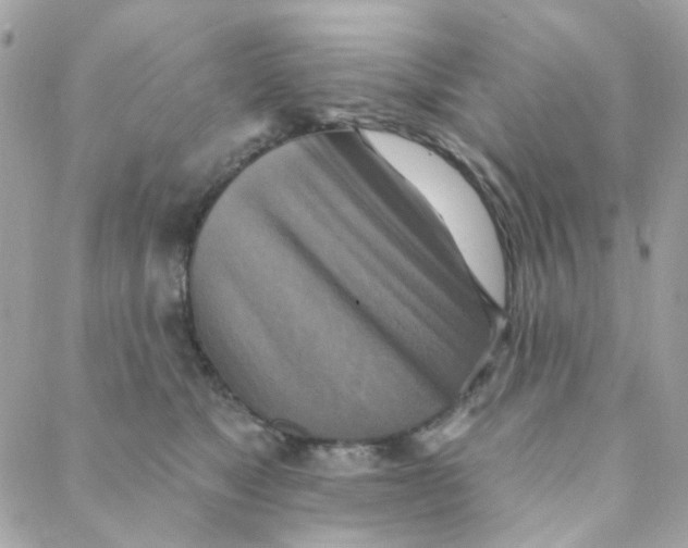 X0000088220517200706051326