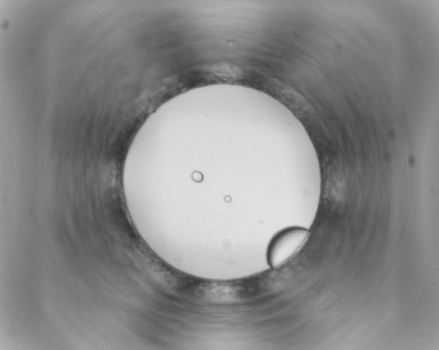 X0000088220518200706051326