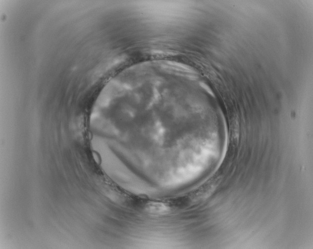 X0000088220519200706051326