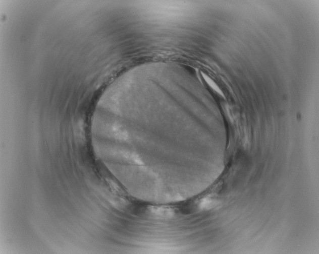 X0000088220520200706051326