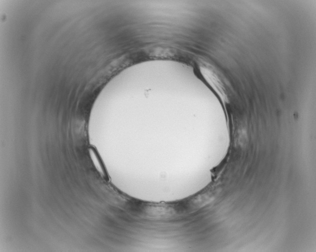 X0000088220521200706051326