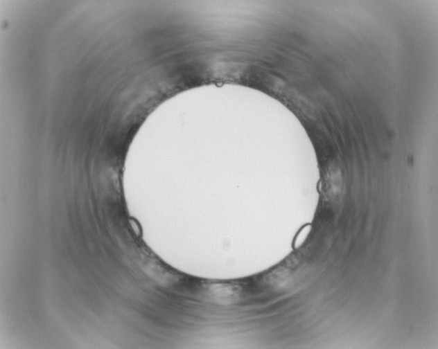 X0000088220522200706051326