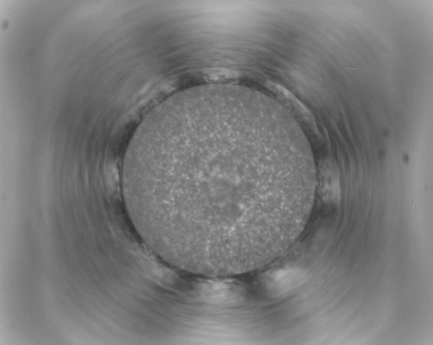 X0000088220523200706051326