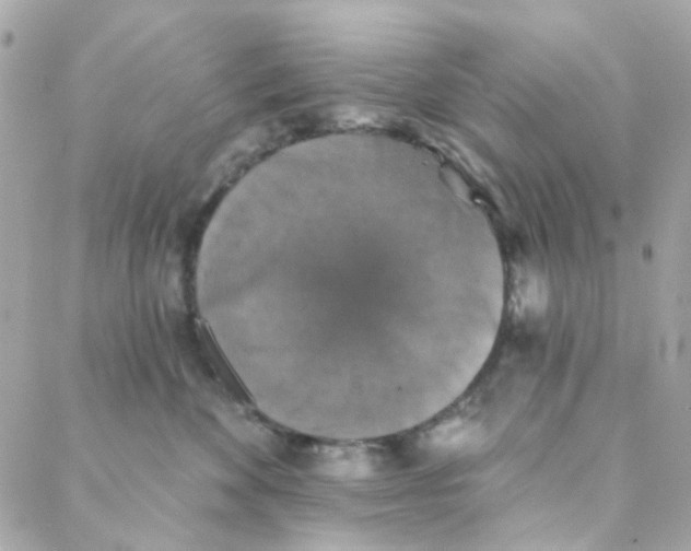 X0000088220524200706051326