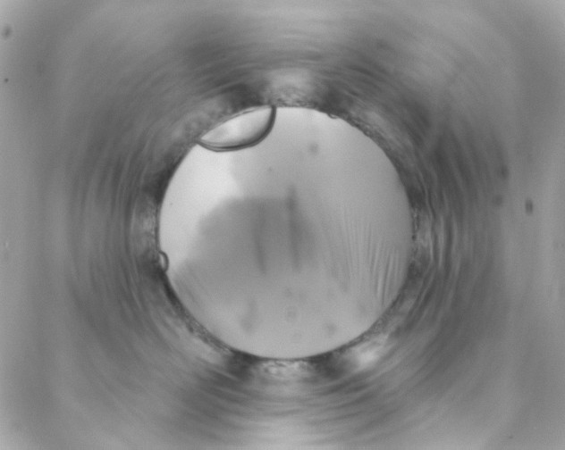 X0000088220526200706051326