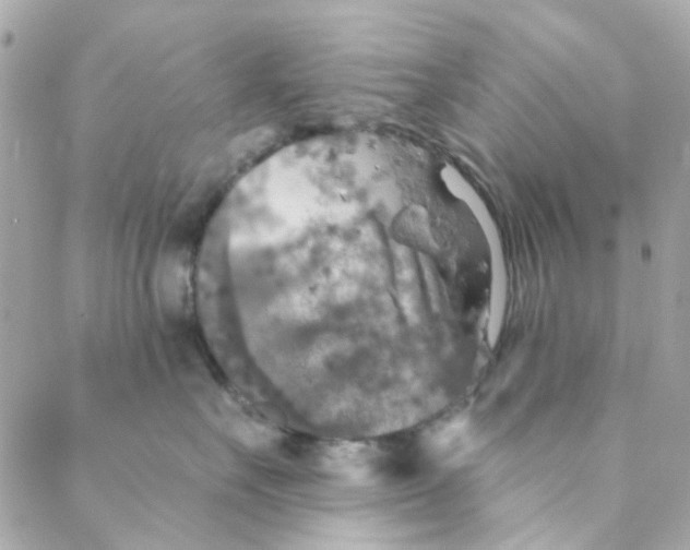 X0000088220527200706051325