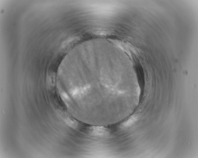 X0000088220528200706051325