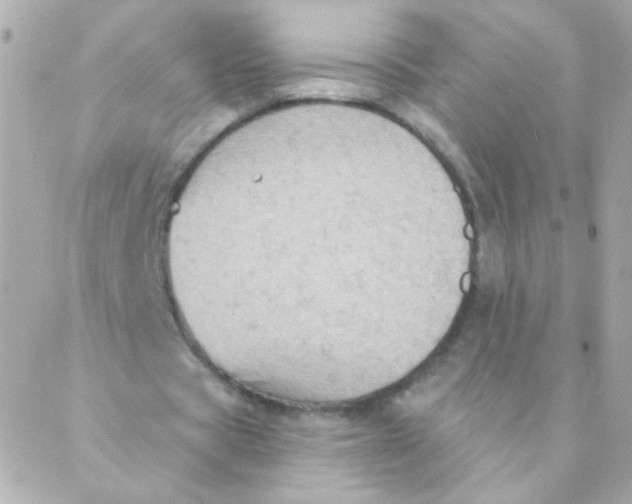 X0000088220529200706051325