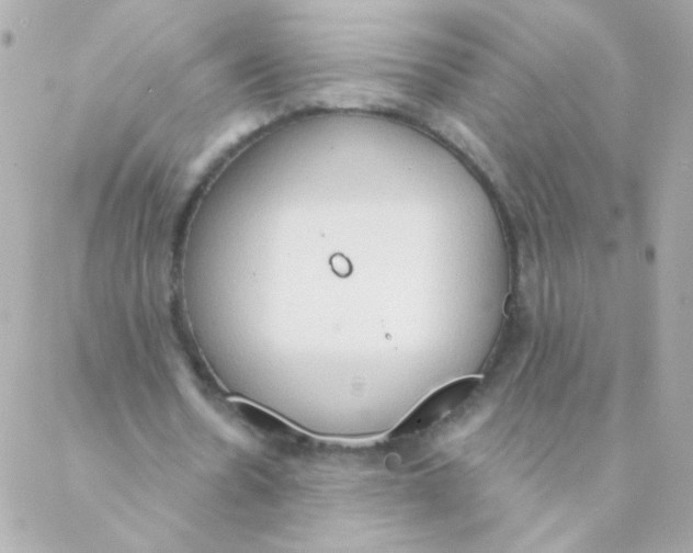 X0000088220530200706051325