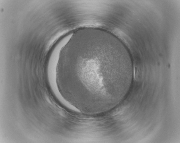 X0000088220531200706051325