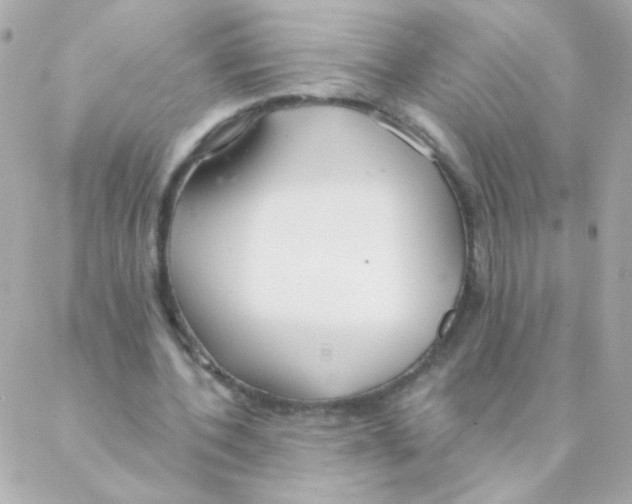 X0000088220532200706051325