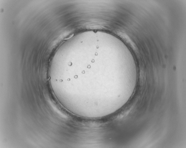 X0000088220533200706051325