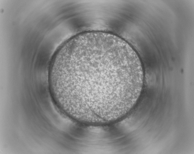 X0000088220534200706051325