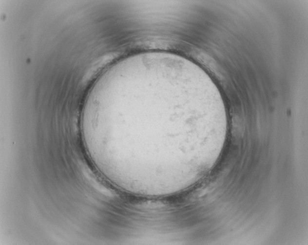 X0000088220537200706051325