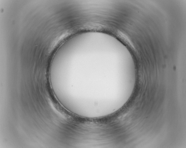 X0000088220538200706051325