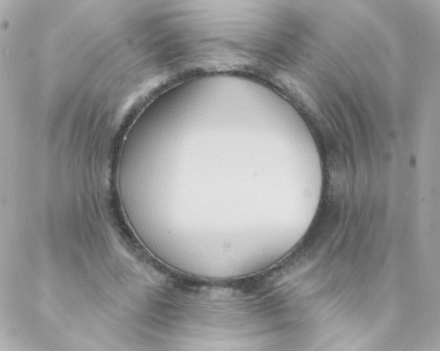 X0000088220539200706051325