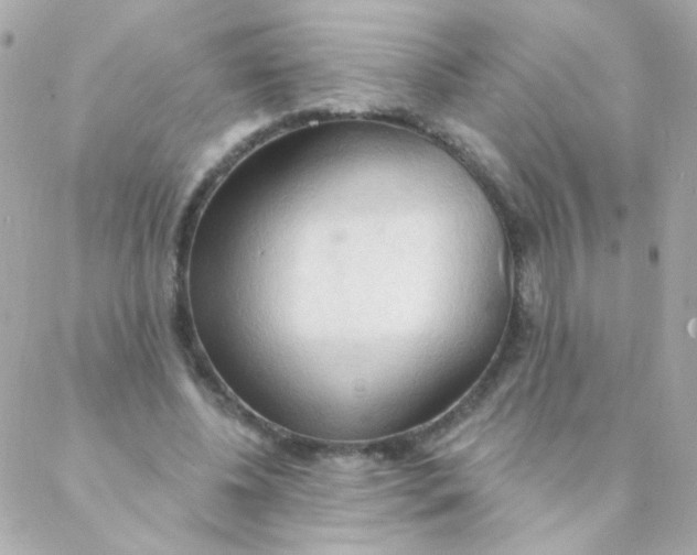 X0000088220540200706051325