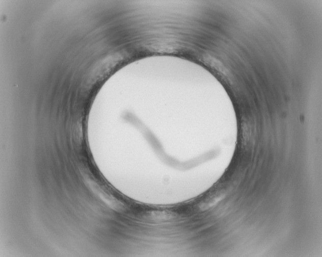 X0000088220541200706051325