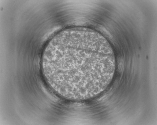 X0000088220542200706051325