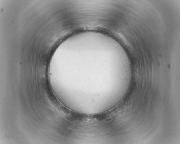 X0000088220543200706051325