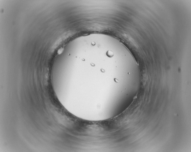 X0000088220544200706051325