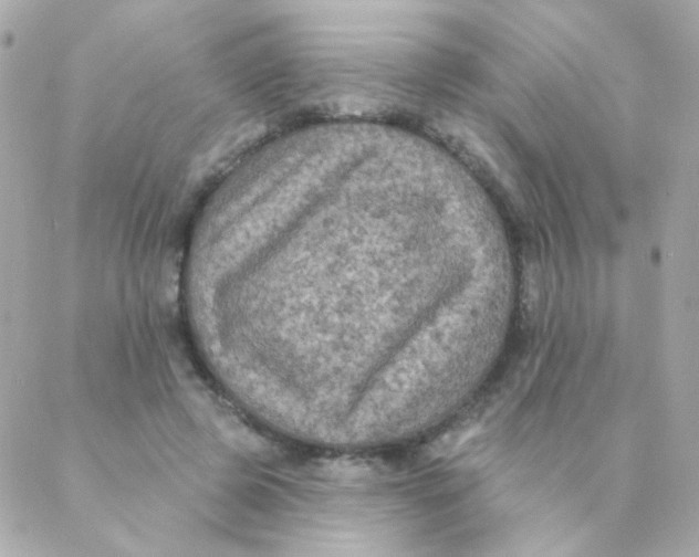 X0000088220545200706051325