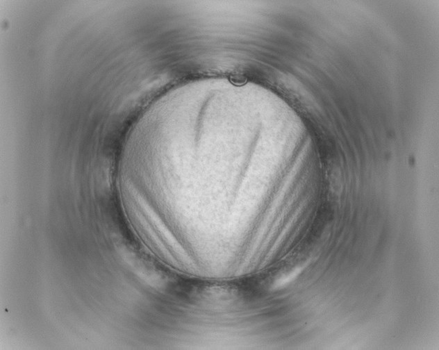 X0000088220546200706051325