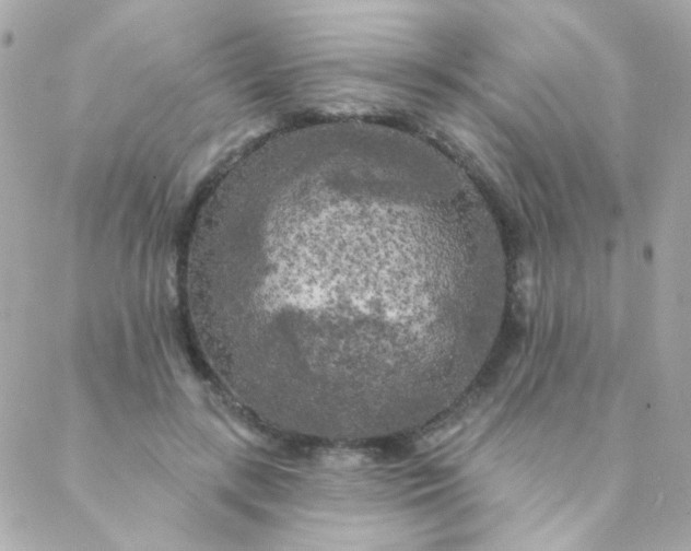 X0000088220547200706051325