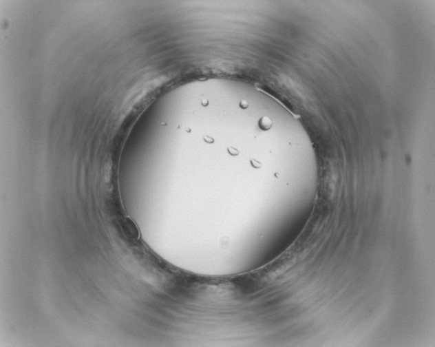 X0000088220548200706051325