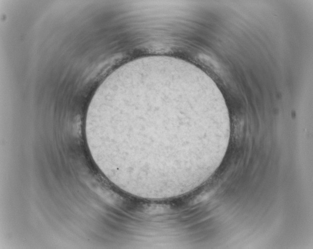 X0000088220549200706051325