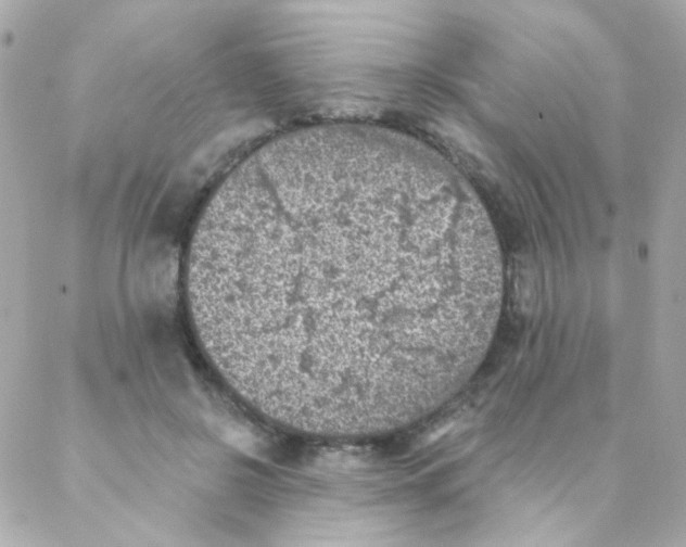 X0000088220550200706051325