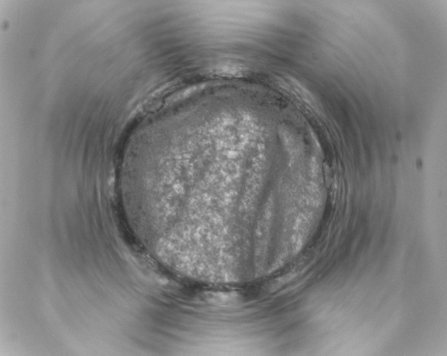 X0000088220552200706051325