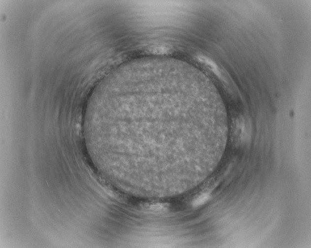 X0000088220553200706051325