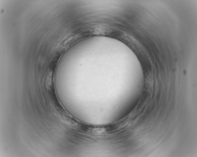 X0000088220554200706051325