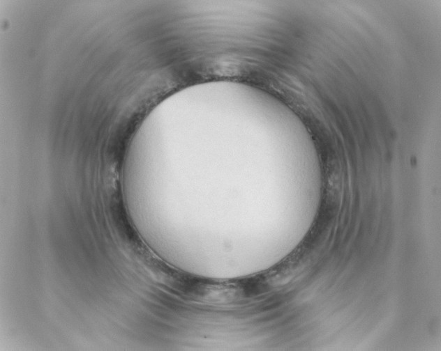 X0000088220555200706051325