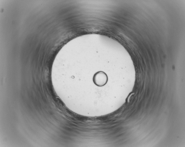 X0000088220556200706051325