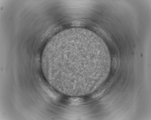 X0000088220557200706051325