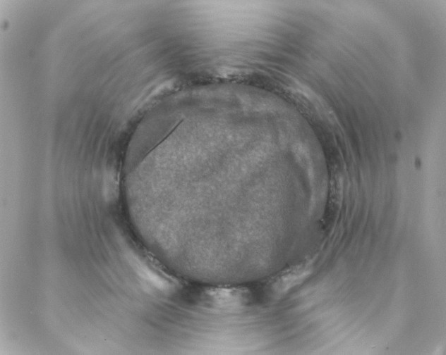 X0000088220558200706051325