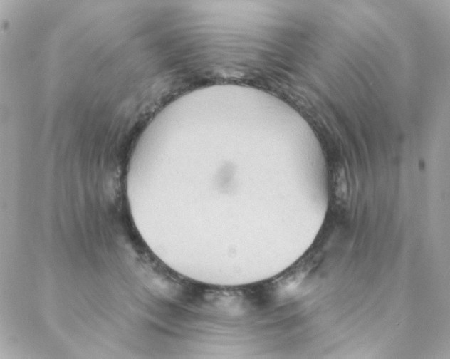 X0000088220559200706051325